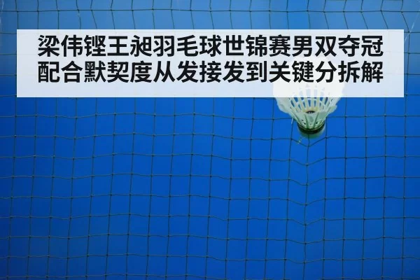 badminton shuttlecock net play action